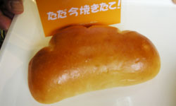 L̂悤Ȍ`N[p