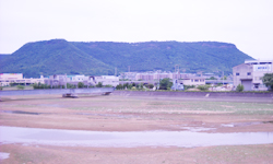 きょうはひとりで　高松を満喫して帰ります。