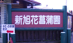 花菖蒲園
