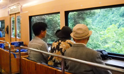 座席は進行方向の右サイドを向いています