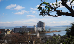 琵琶湖花街道
