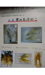 冷凍たけのこ