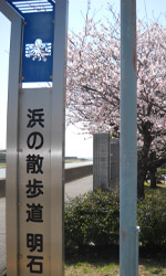 浜の散歩道