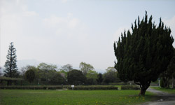 嵐山松尾公園