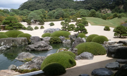  日本庭園